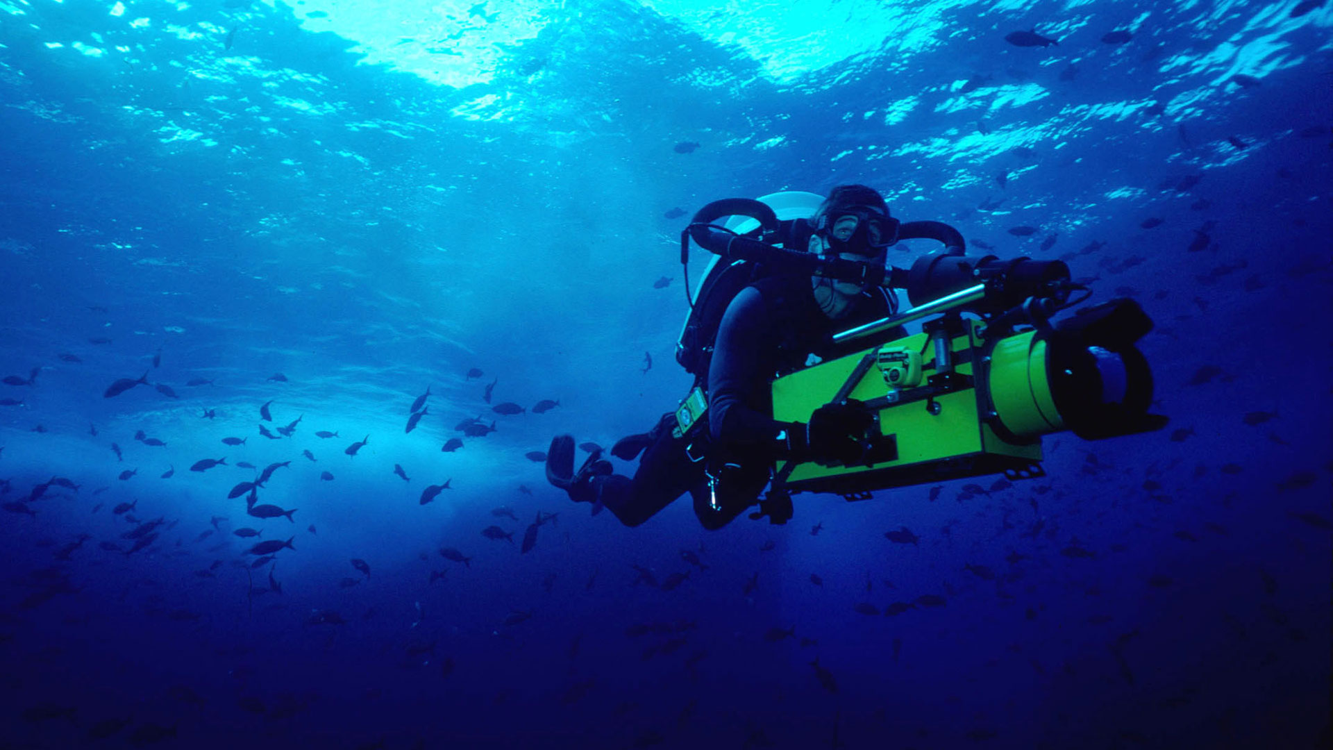 Execution in underwater shoot by Priya Seth and Anees Adenwala