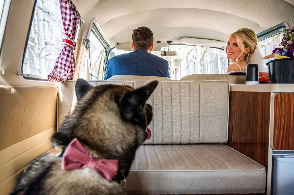 Denise Motz Photography